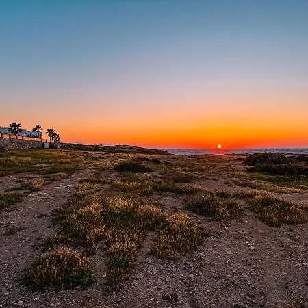 Lejlighed New Cozy Garden Pool & Terrace Near Sea For Up To 6 People Akanthou